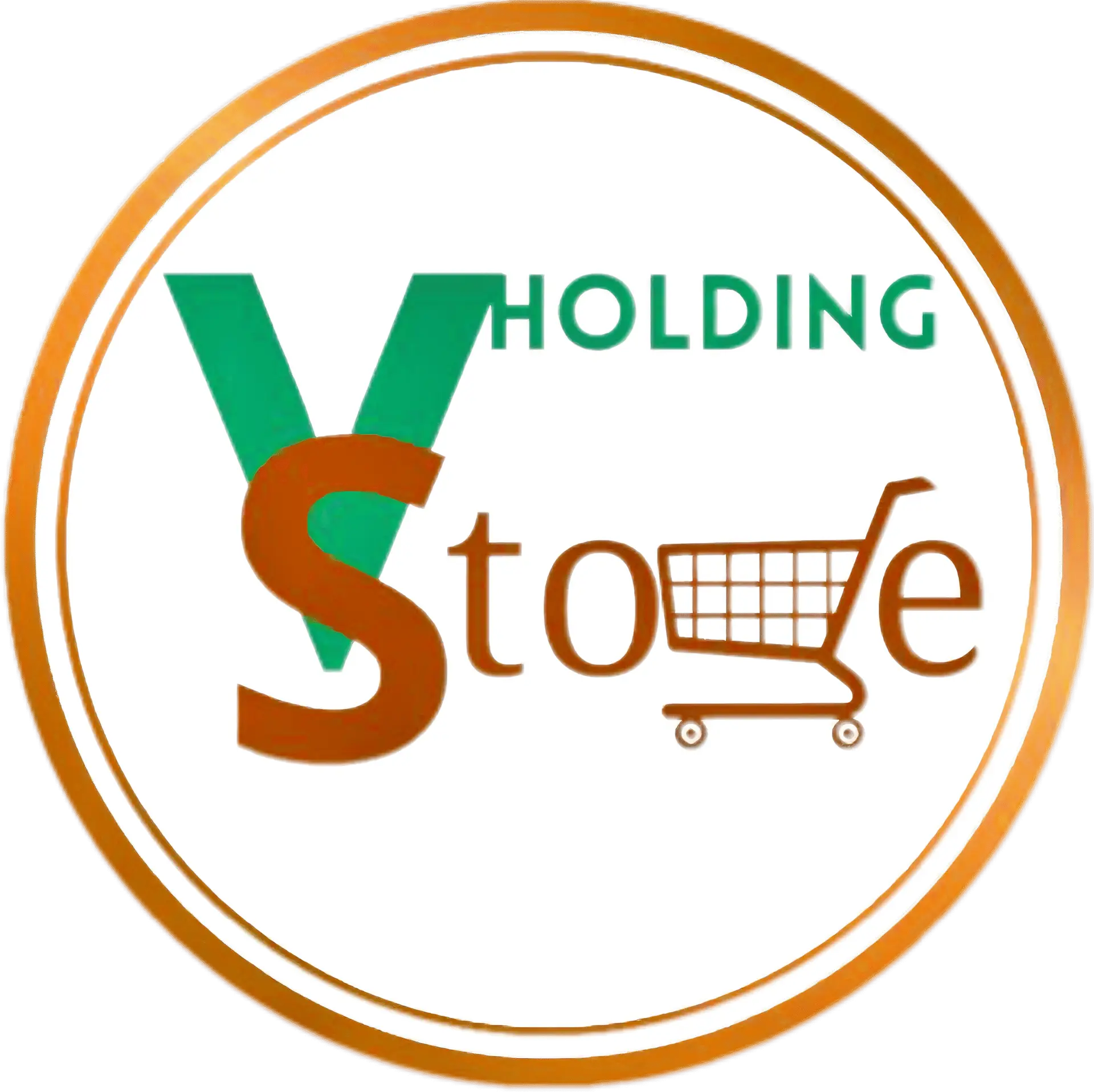 Store Village Holding