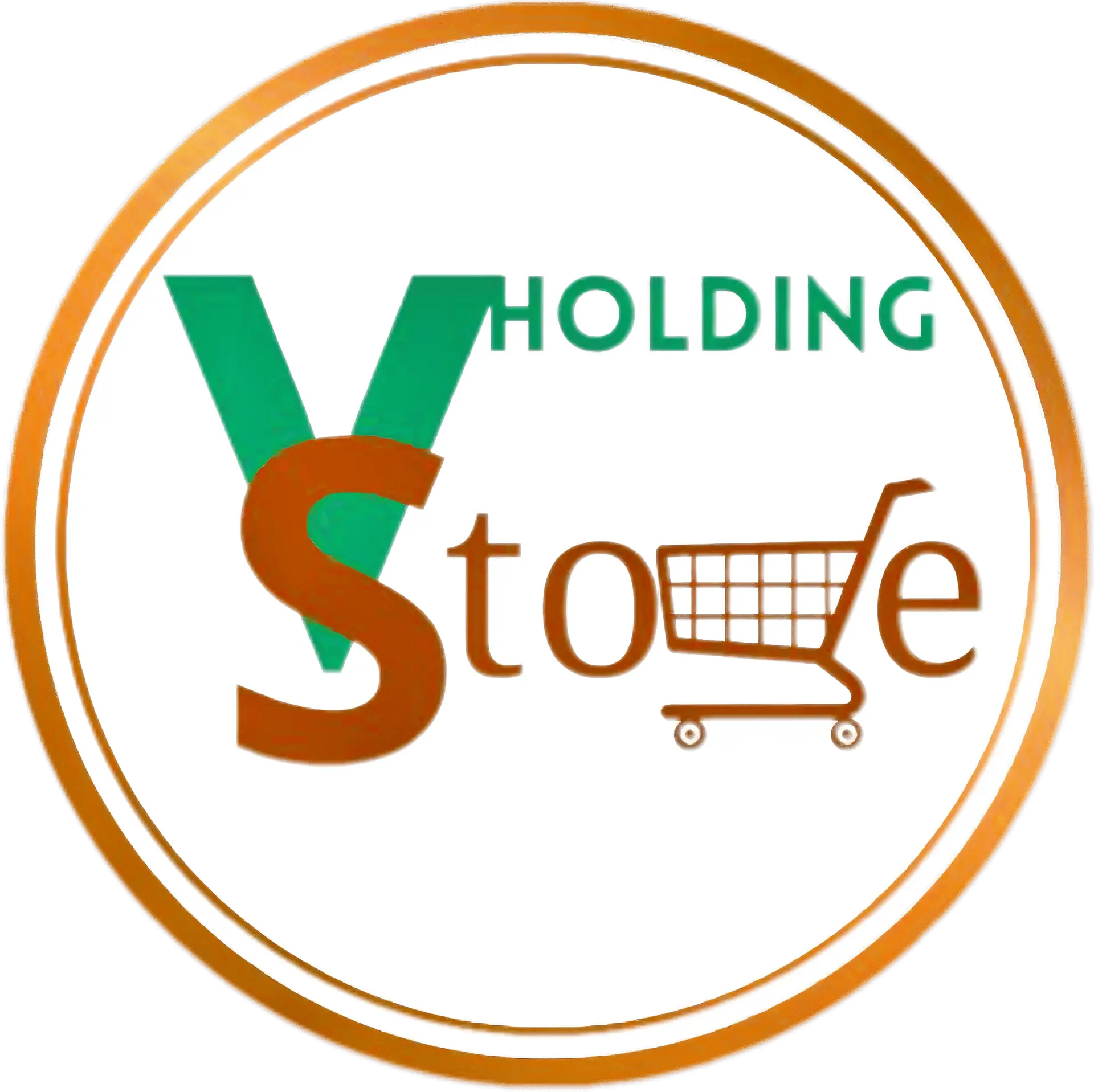 Store Village Holding